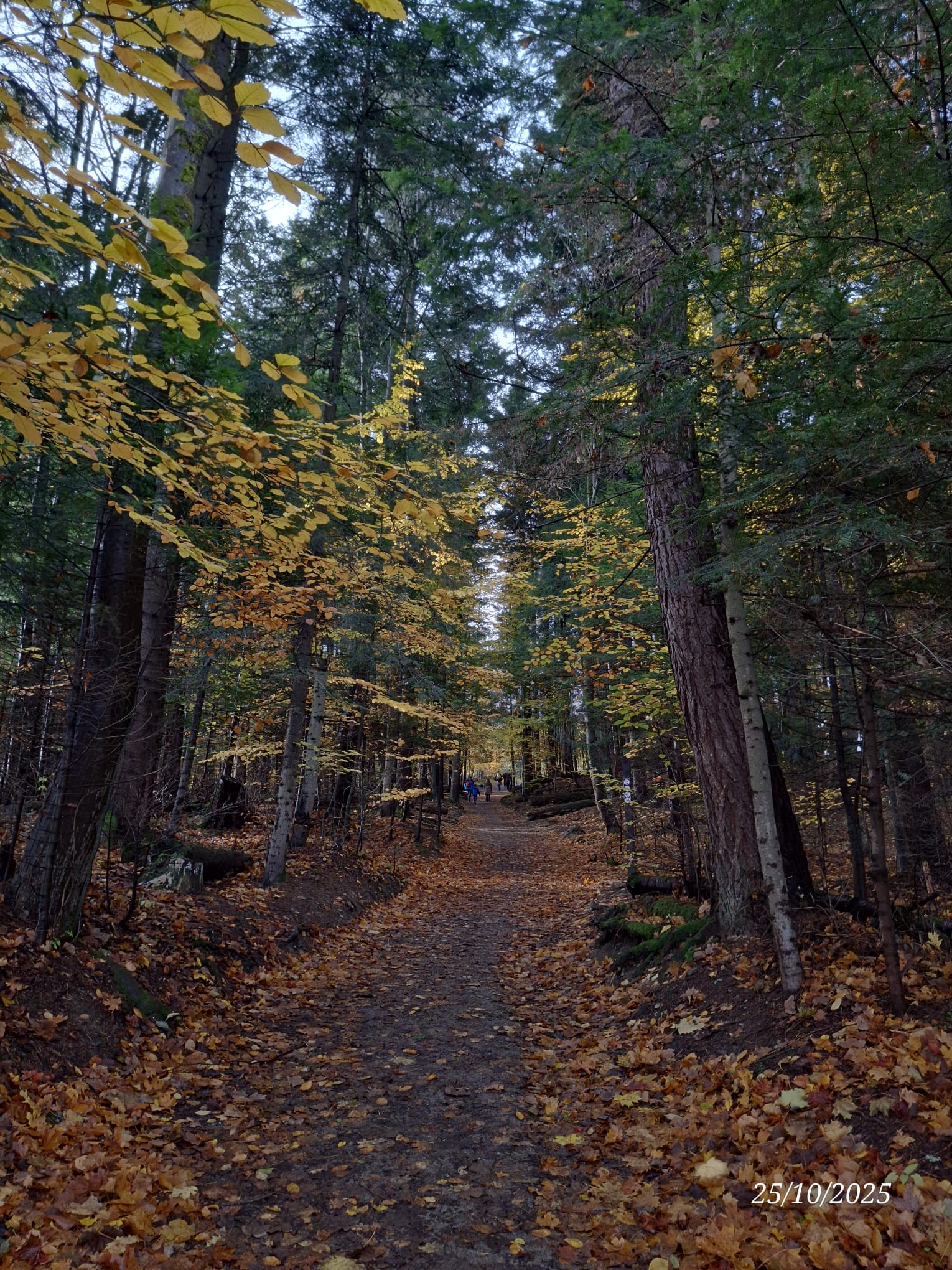 Pieniny National Park, Polonia
